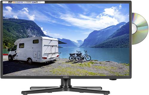 Reflexion LED-TV 18.5 Zoll EEK F (A - G) CI+, DVB-C, DVB-S2, DVB-T2 HD, PVR ready, DVD-Player Schwar