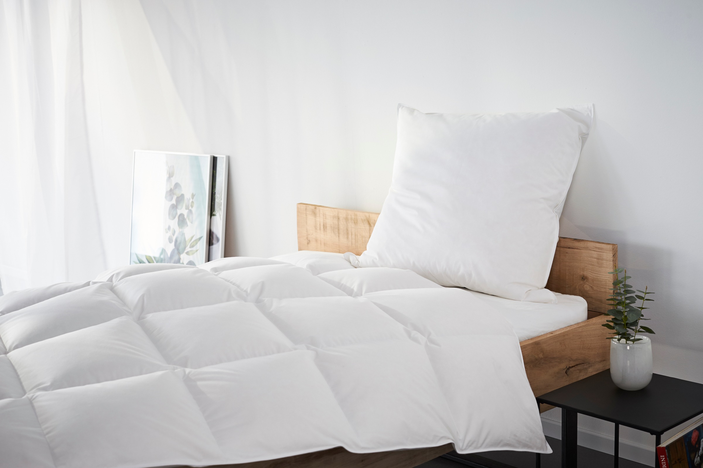 my home 3-Kammer-Kopfkissen 'Kyam, NEUHEIT Kissen hergestellt in Deutschland' Füllung: Innenkissen 100% Federn, Außenkissen 90% Daunen Bezug: Baumwolle 1 Stk. tlg. Kopfkissen 40x80 cm, 80x80 cm, DOWNPASS zertifiziert, NOMITE