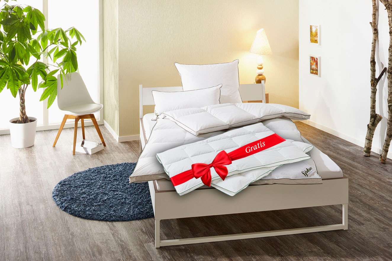 fjödur Daunenbettdecke 'Fabian 2für1, Bettdecke für Sommer, Winter, alle Wärmeklassen' warm Füllung 60% Daunen & 40% Federn 2 Stk. tlg. Bettdecke in 135x200,155x220 cm, inklusive 1 Gratis-Leichtdecke.