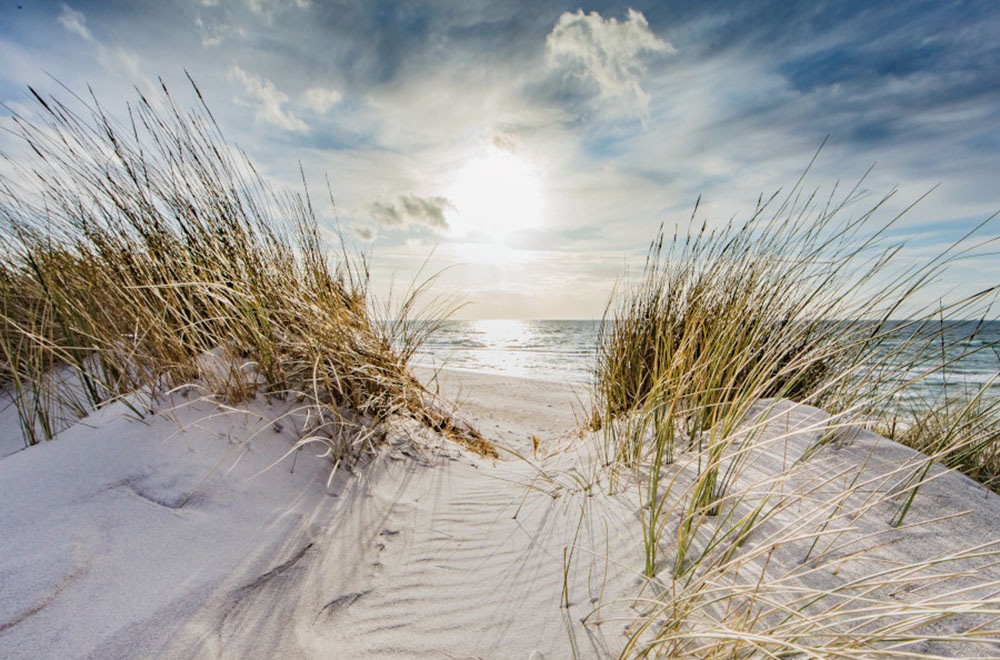 Bönninghoff Leinwandbild Bilder vom Sonnenuntergang & -aufgang Landschaft Landschaften Meer Meer Bilder Natur Sonnenaufgang Sonnenaufgang & -untergang Strand Strandbilder Wiesen & Baumbilder Wiesen & Bäume 1 Stk. tlg.