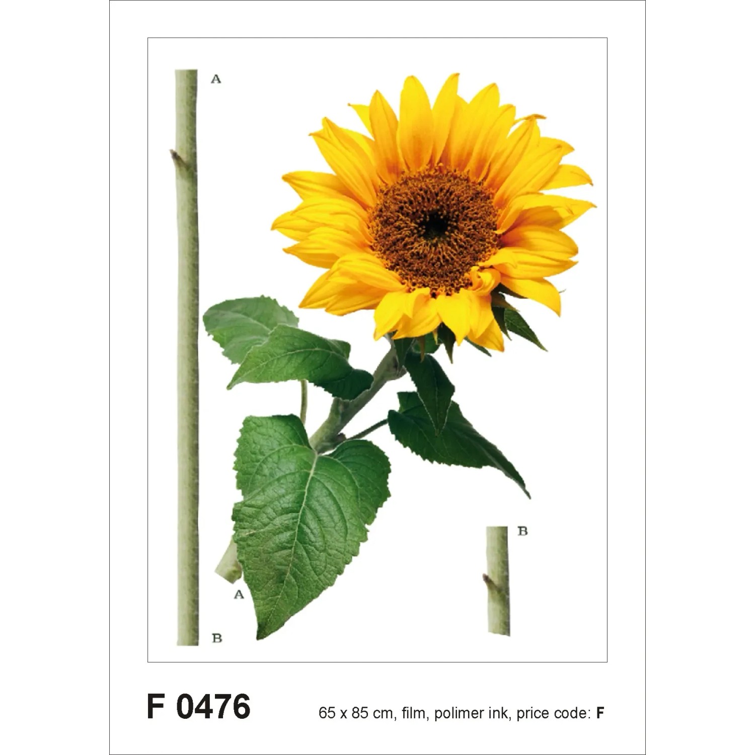 Sanders & Sanders Wandtattoo Sonnenblume Gelb und Grün 65 x 85 cm 600262