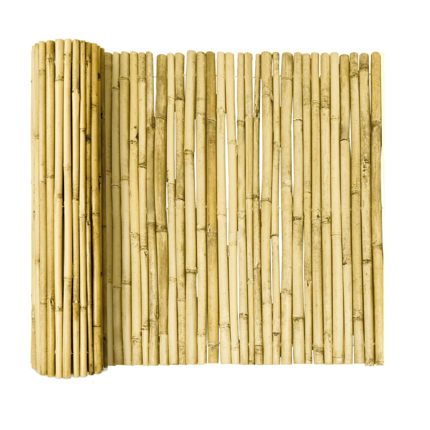 Sol Royal SolVision B99 Sichtschutzzaun 100x250cm Bambus Hell