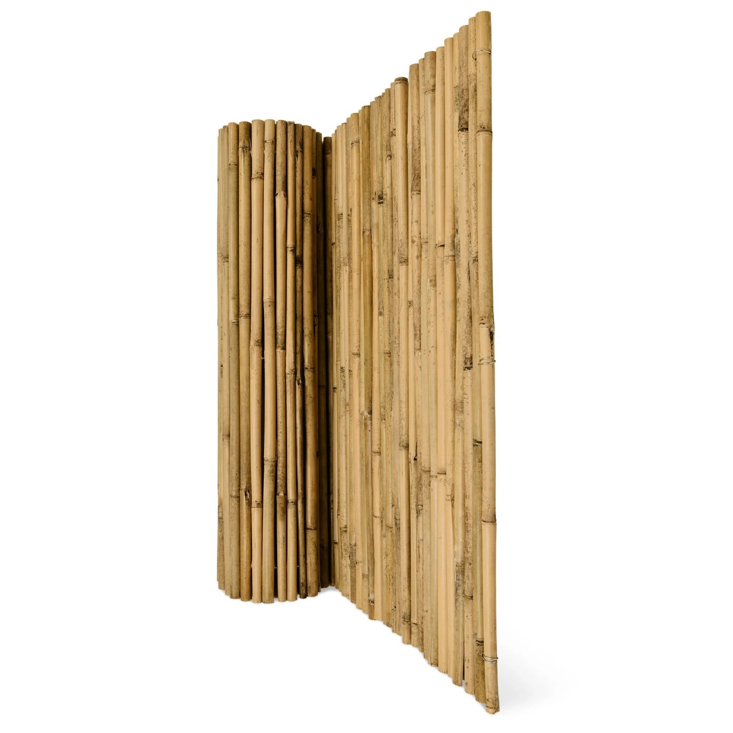 Sol Royal SolVision B38 Sichtschutzzaun 80x250cm Bambus