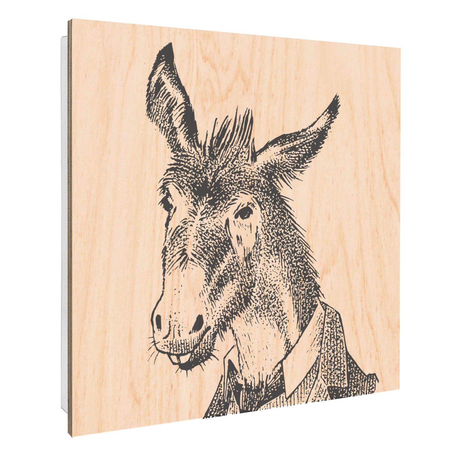 Banjado Schlüsselkasten mit Holzfront 30x30cm Weiß Scharnier Links 50 Haken Wand Schlüsselaufbewahrung Motiv Herr Esel 2