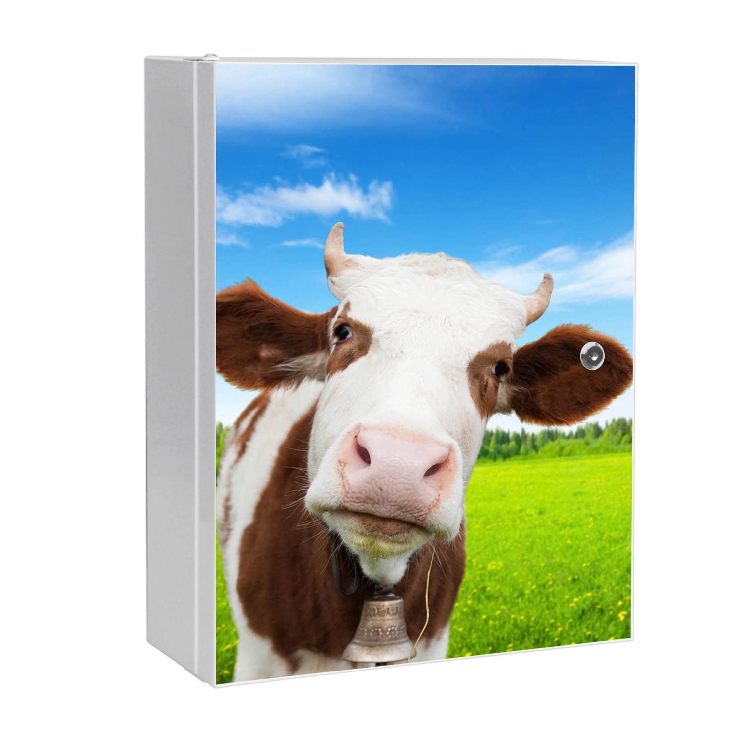 Banjado XXL Medizinschrank Abschliessbar 35x46x15cm Arzneischrank Weiß Aus Metall Front Mit Motiv Pardon