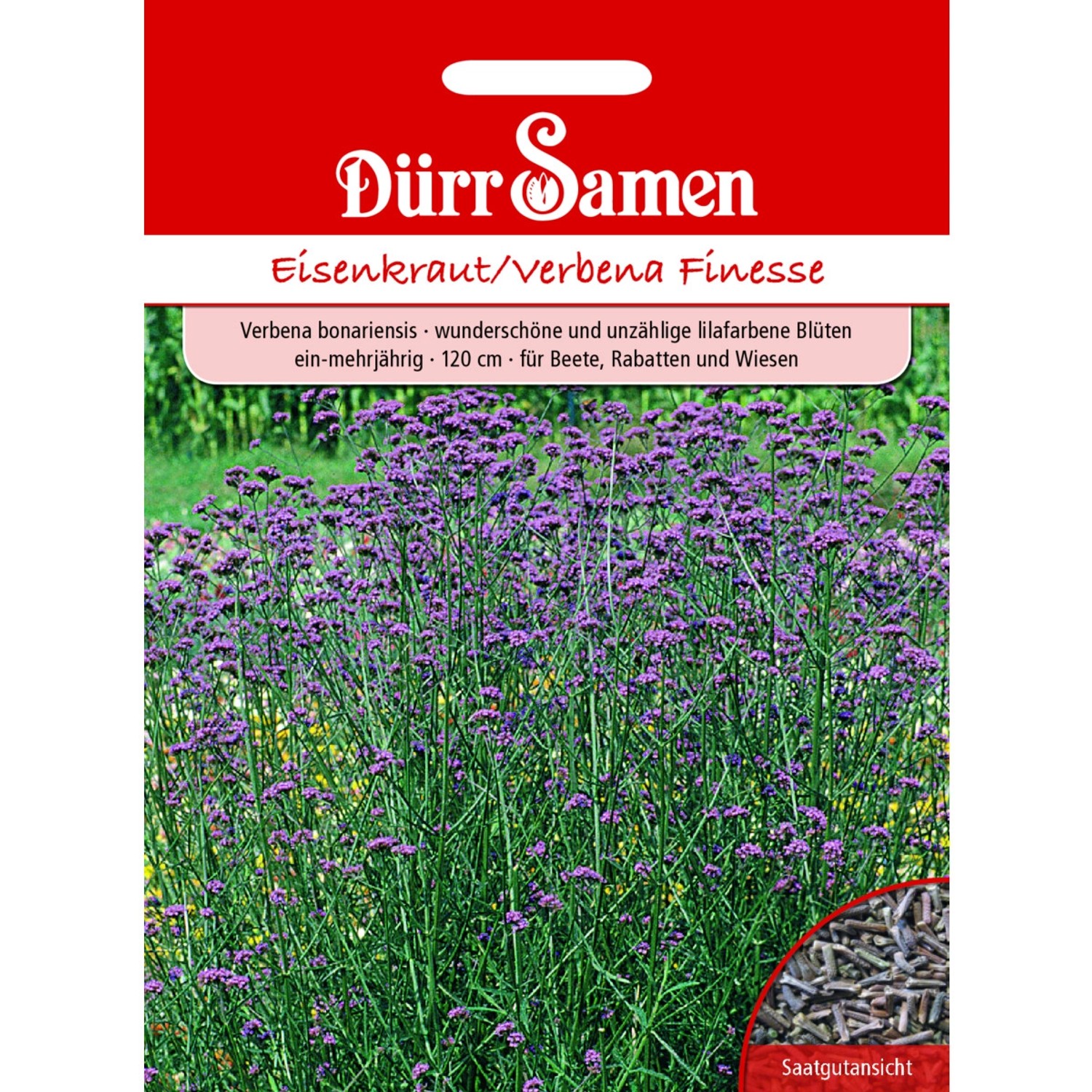 Dürr Samen Eisenkraut Finesse Lilafarbene Blüten Ein-Mehrjährig Saatgut