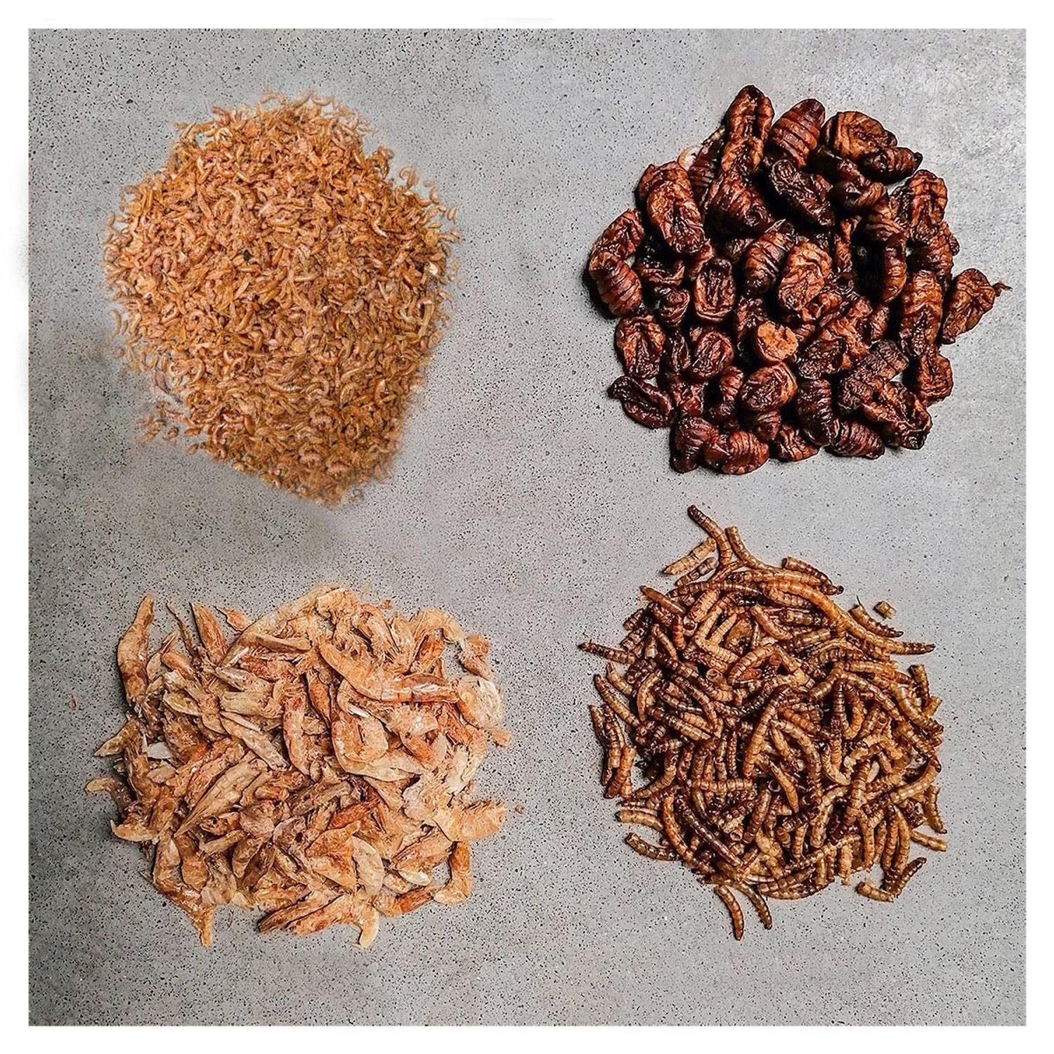 Insektus Mehr Sorten Mix Koifutter 5 Liter im Beutel