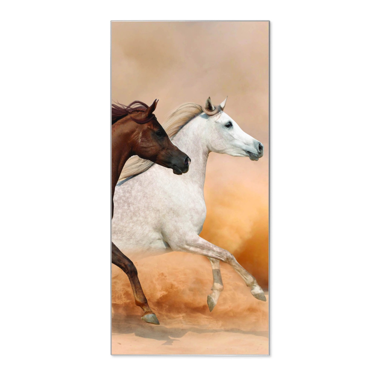 Banjado Magnettafel 37x78cm Magnetwand Silber Aus Metall Magnetpinnwand Pinnwand Inkl. 4 Magnete Motiv Wilde Pferde