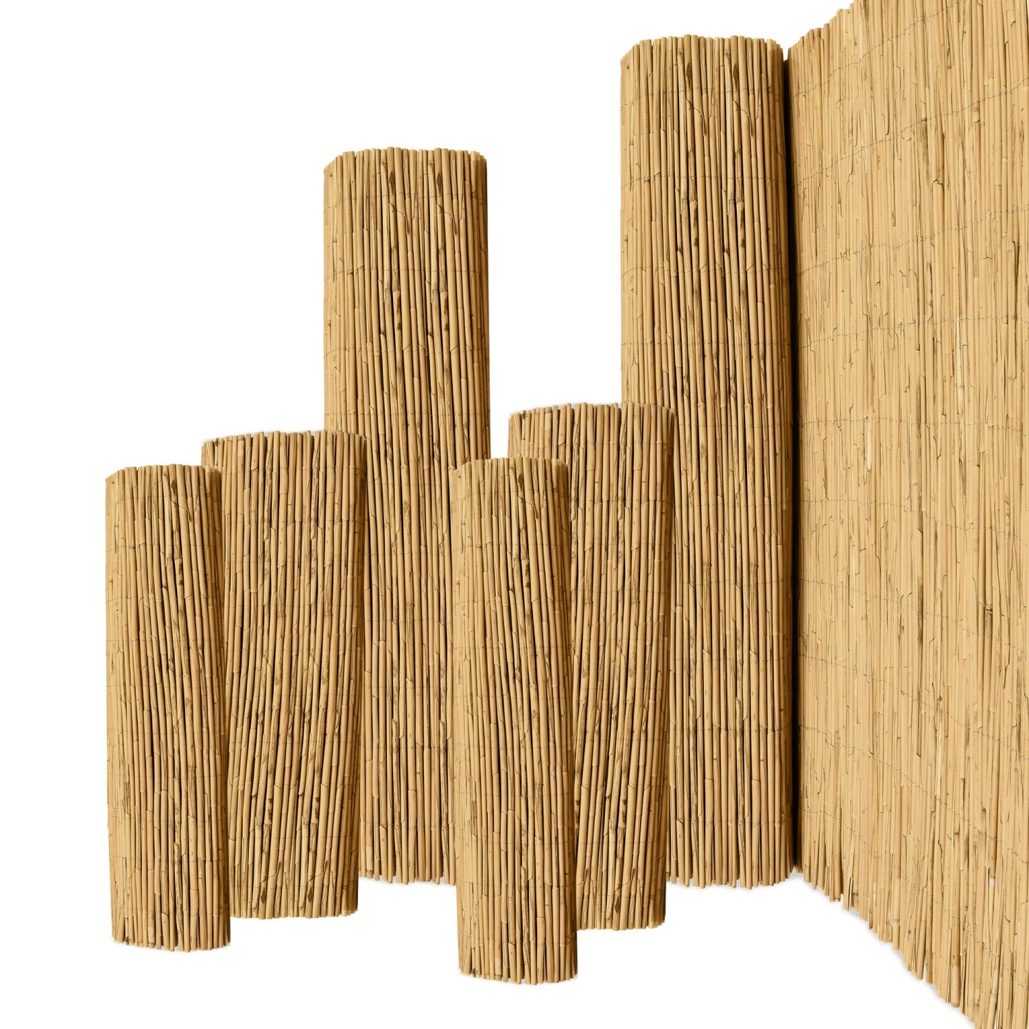 Sol Royal SolVision S36 Sichtschutzzaun 100x600cm Schilf