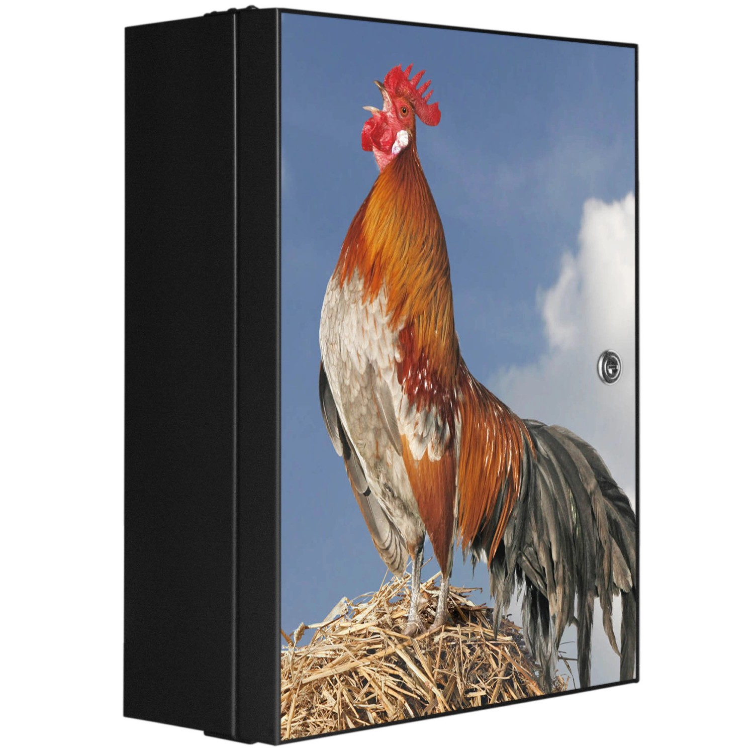 Banjado XXL Medizinschrank Abschliessbar 35x46x15cm Arzneischrank Anthrazit Aus Metall Front Mit Motiv Hahn