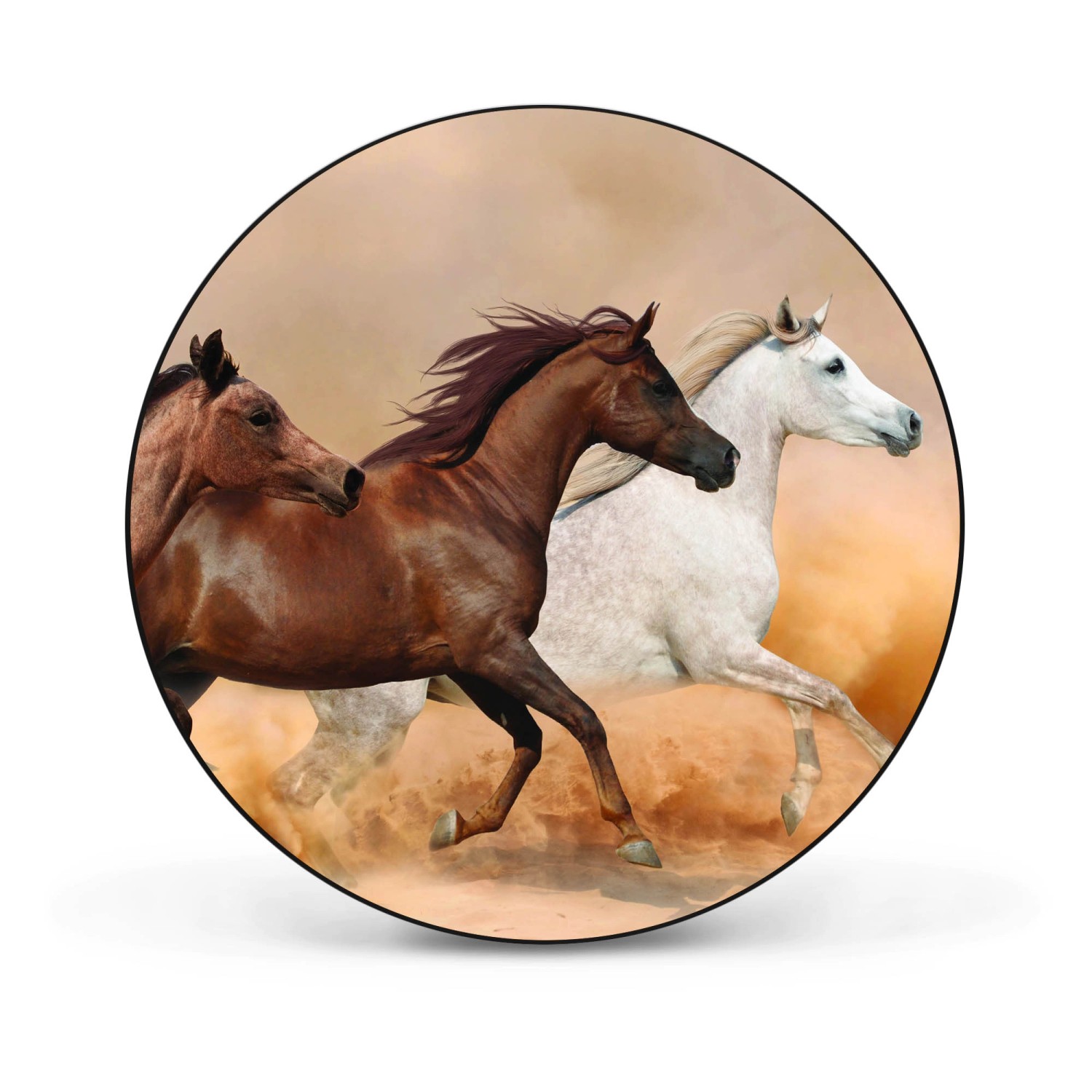 Banjado Magnettafel Rund Größe 47cm Magnetwand Schwarz Aus Metall Magnetpinnwand Pinnwand Motiv Wilde Pferde