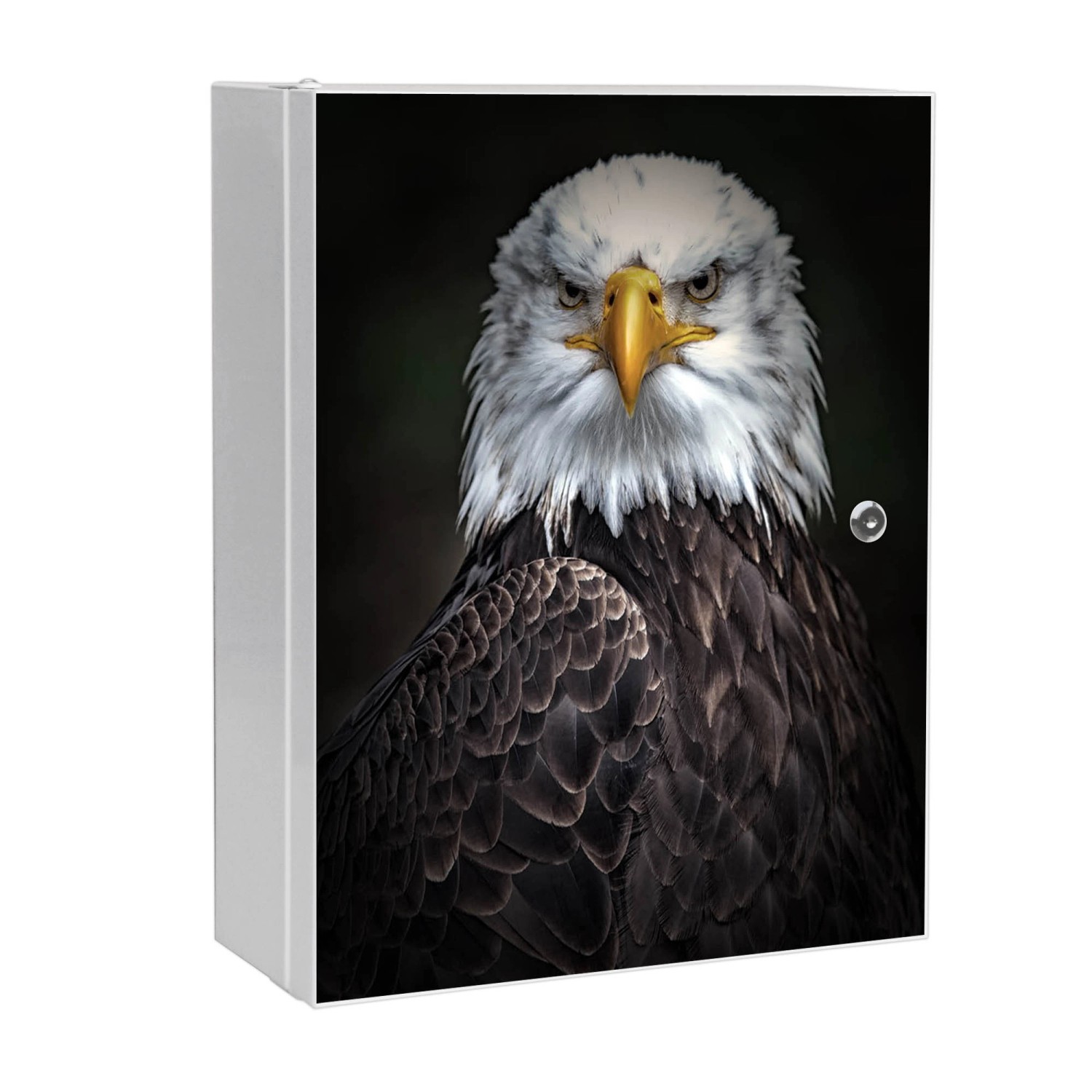 Banjado XXL Medizinschrank Abschliessbar 35x46x15cm Arzneischrank Weiß Aus Metall Front Mit Motiv Adler