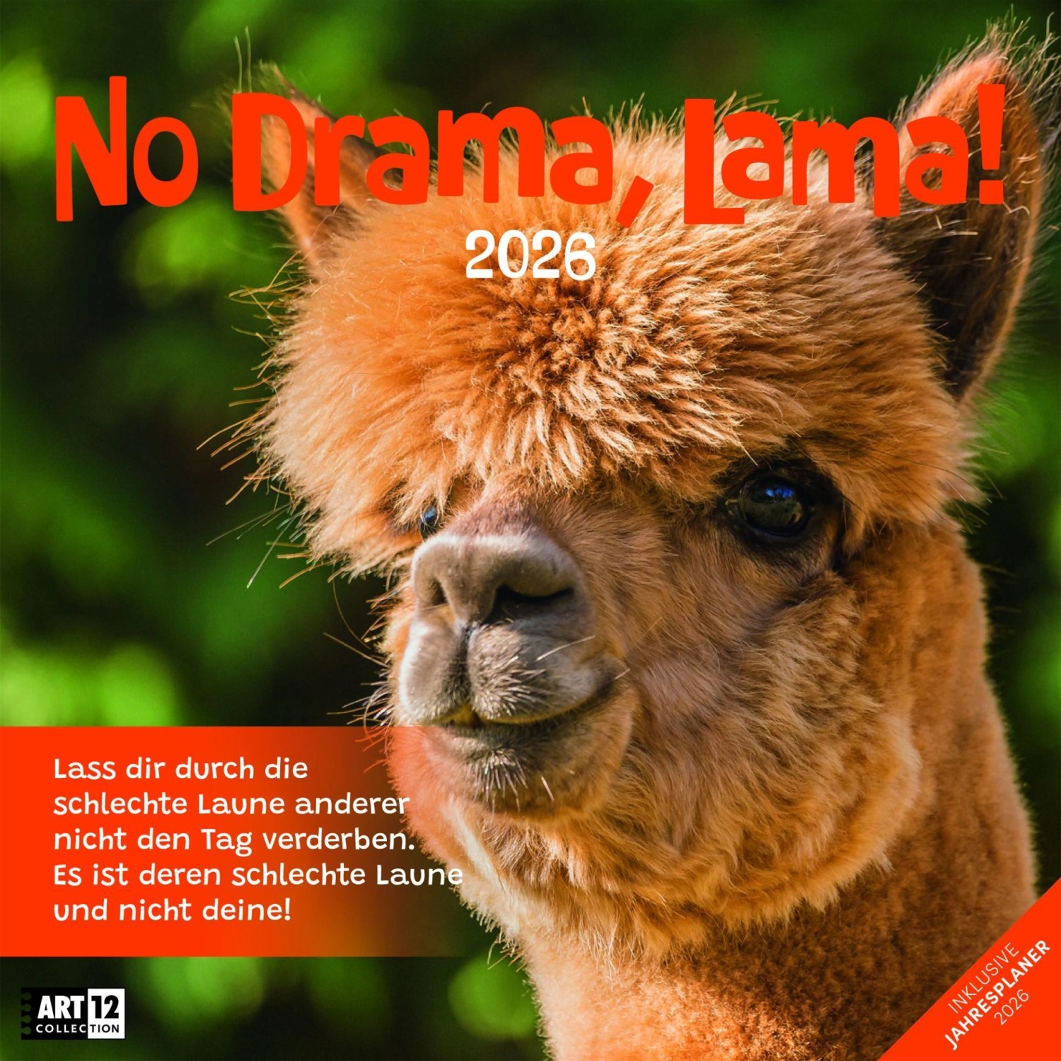 No Drama, Lama! Kalender 2026 - 30x30