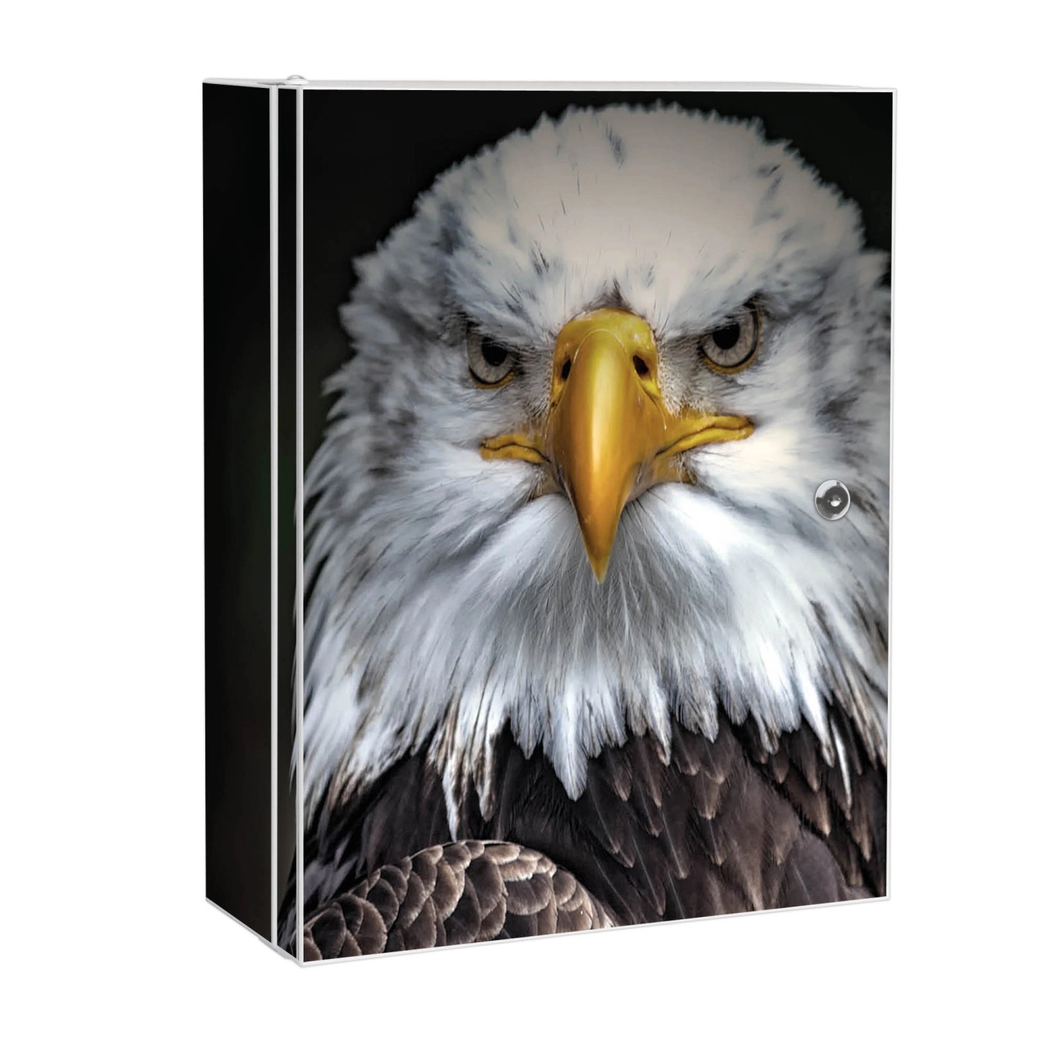 Banjado XXL Medizinschrank Abschliessbar 35x46x15cm Arzneischrank Weiß Aus Metall Mit Motiv Adler