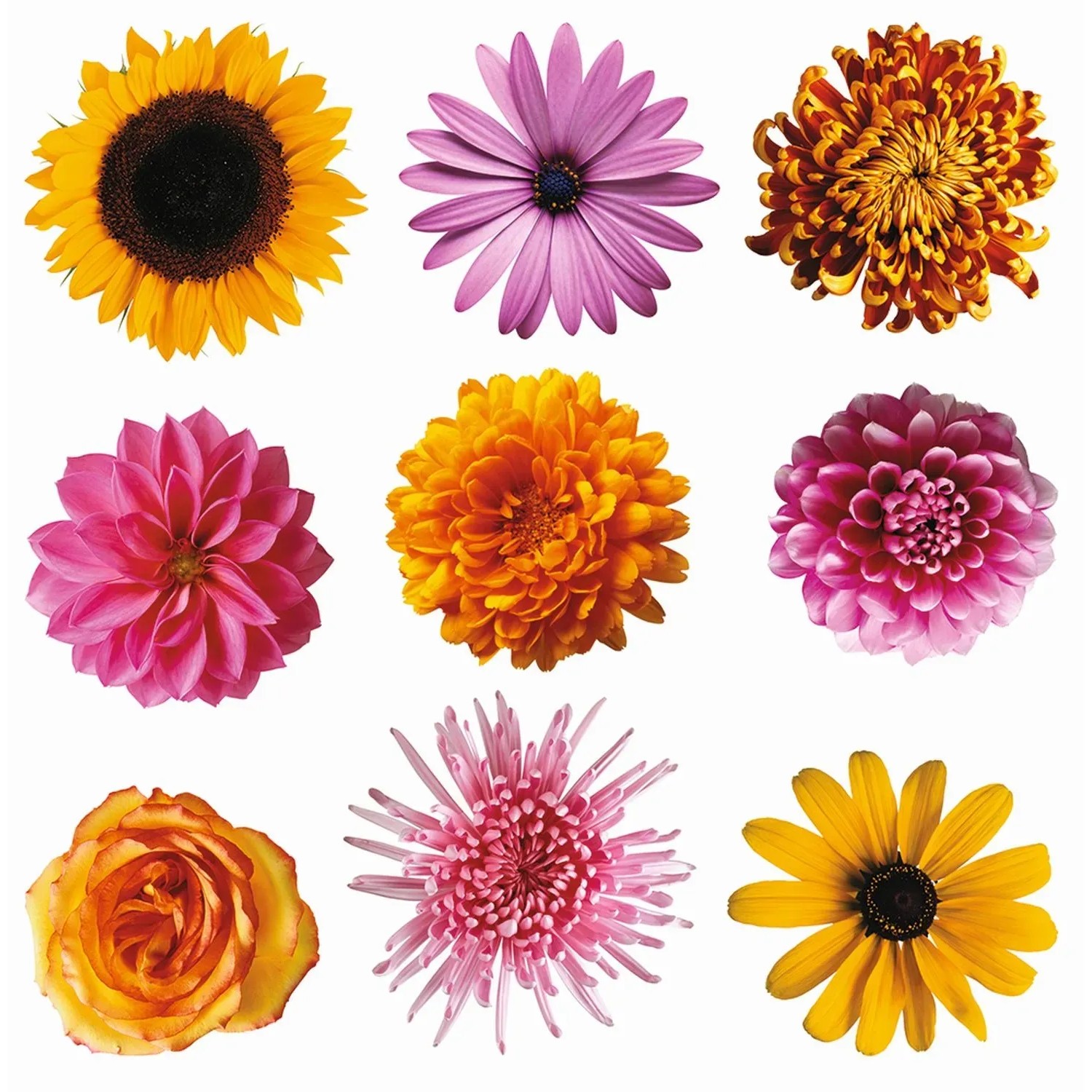 Sanders & Sanders Wandtattoo Strand-Motiv Blau und Grün 30 x 30 cm 600340