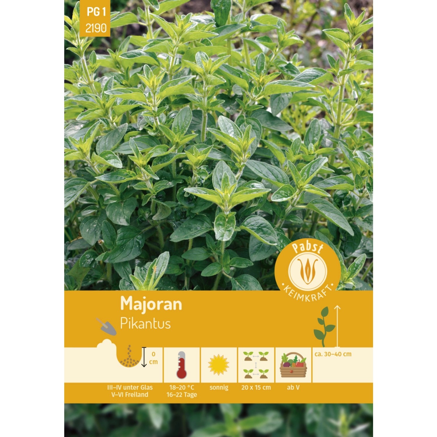 Pabst Keimkraft Majoran Pikantus Saatgut