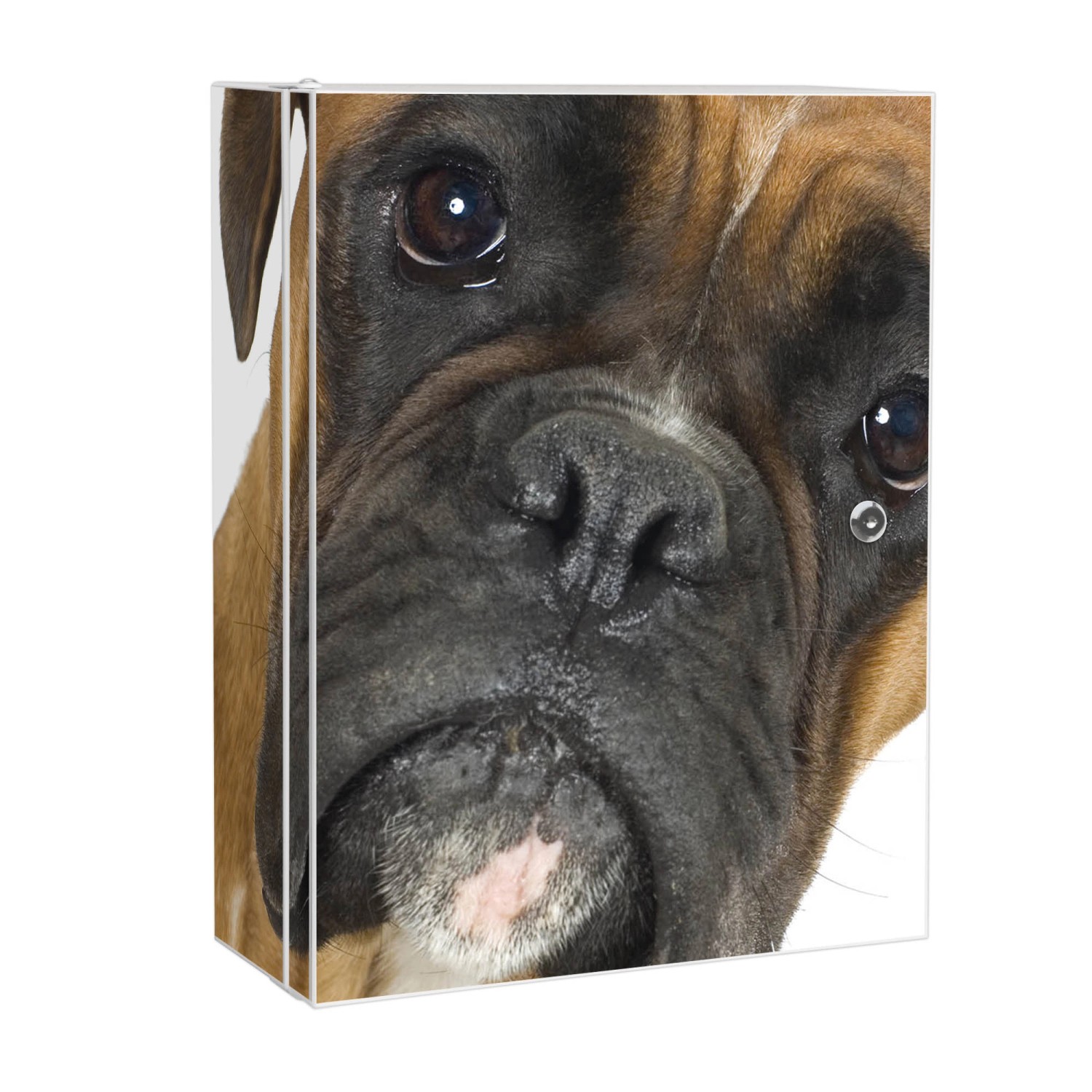 Banjado XXL Medizinschrank Abschliessbar 35x46x15cm Arzneischrank Weiß Aus Metall Mit Motiv Boxer