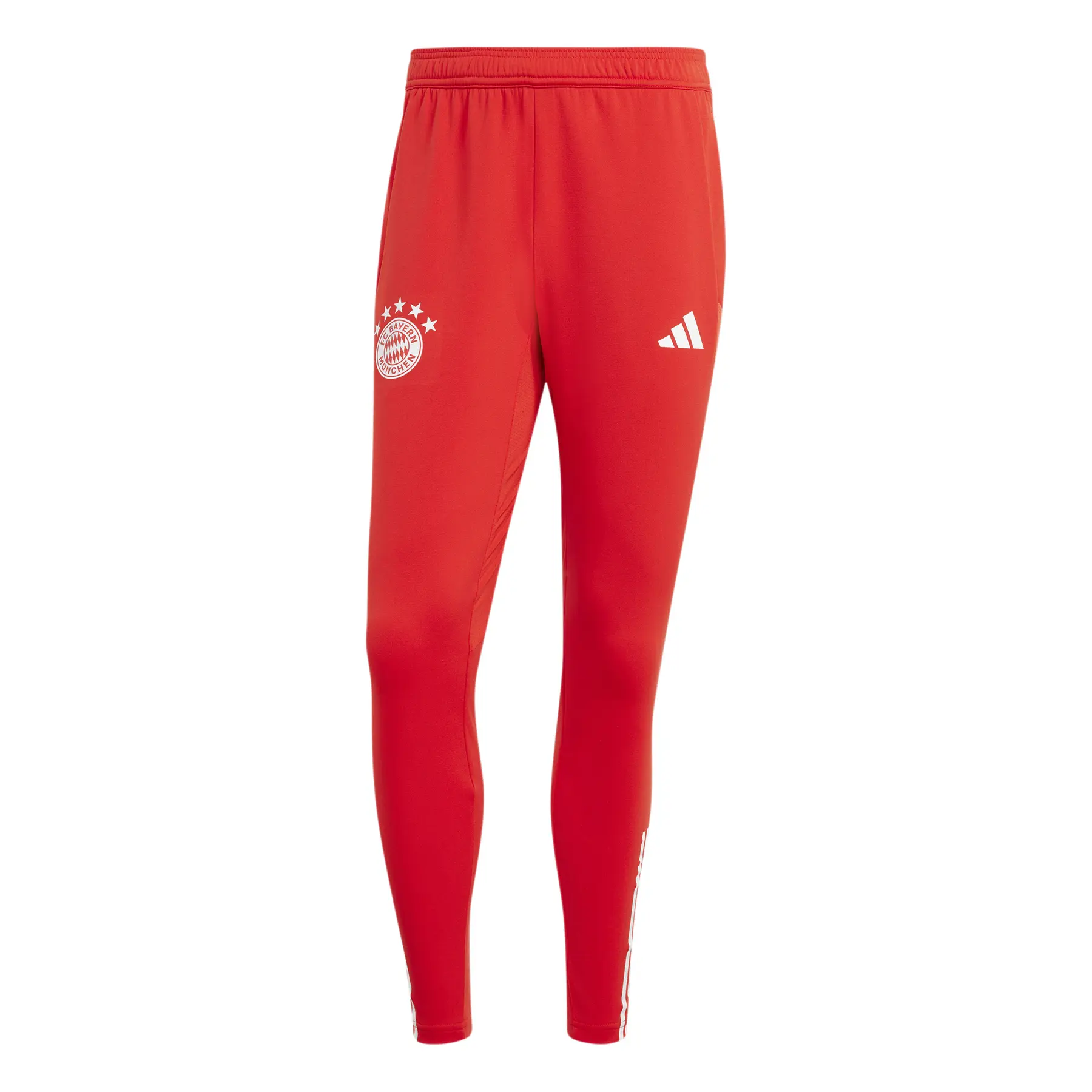 Jogginghose Training Bayern Munich 2023/24