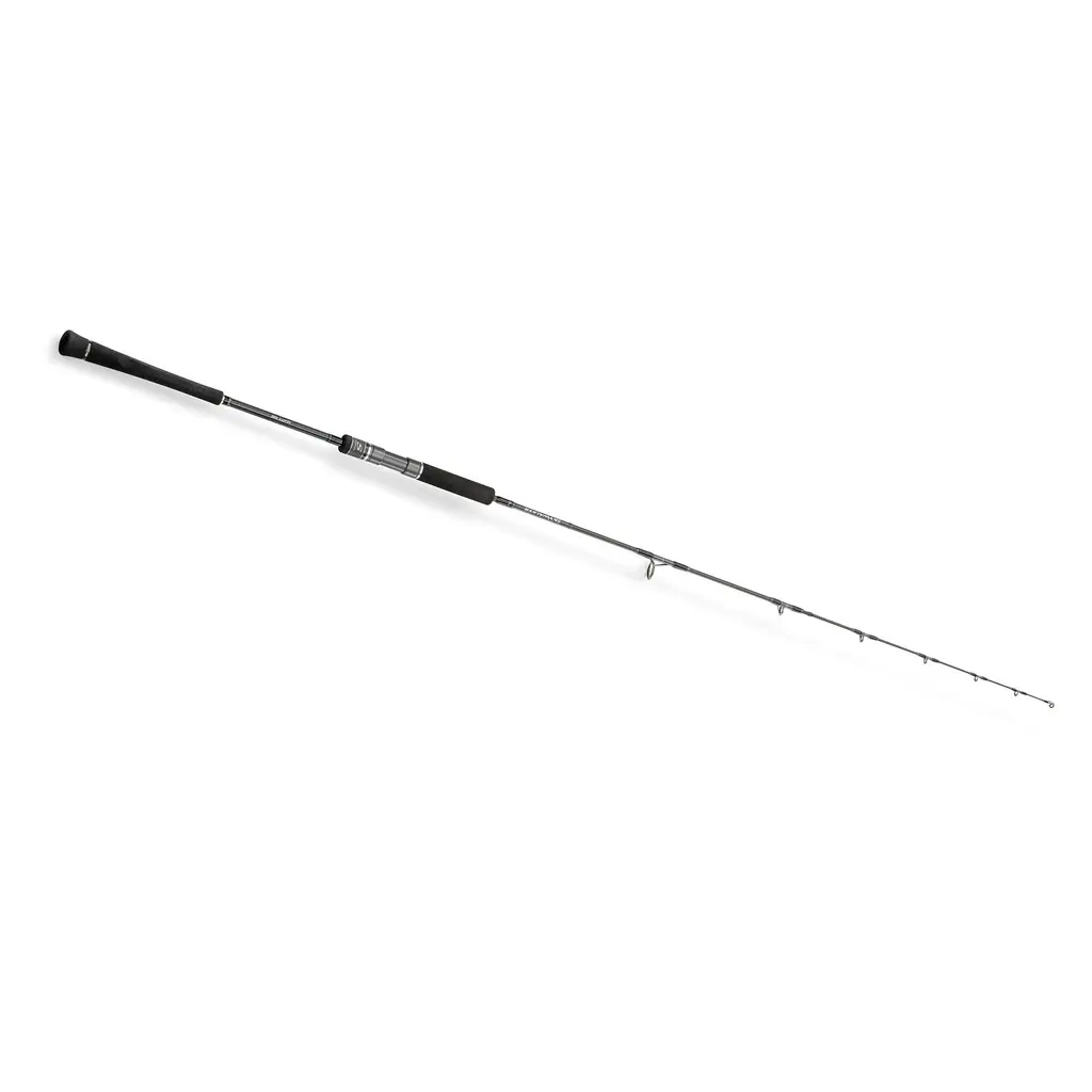 Angelrute Hearty Rise Skywalker Slow Jigging 170-340g