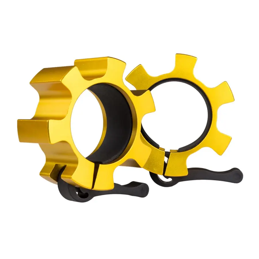 Schlauchschellen mit Backen HMS ZG1500 (x2)