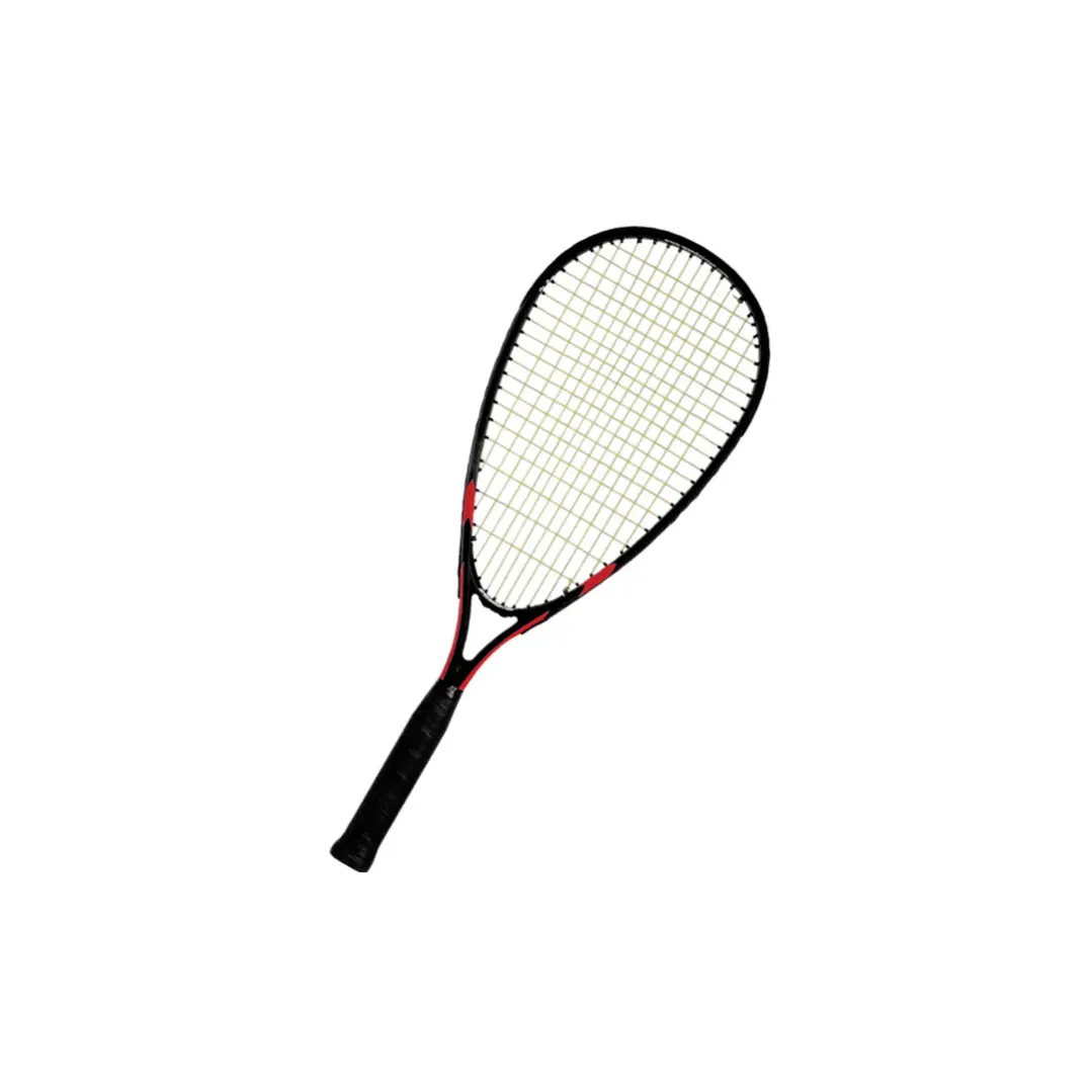 Badmintonschläger Speedminton School