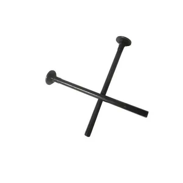 Fahrradschiene Thule Vise 4eme G6