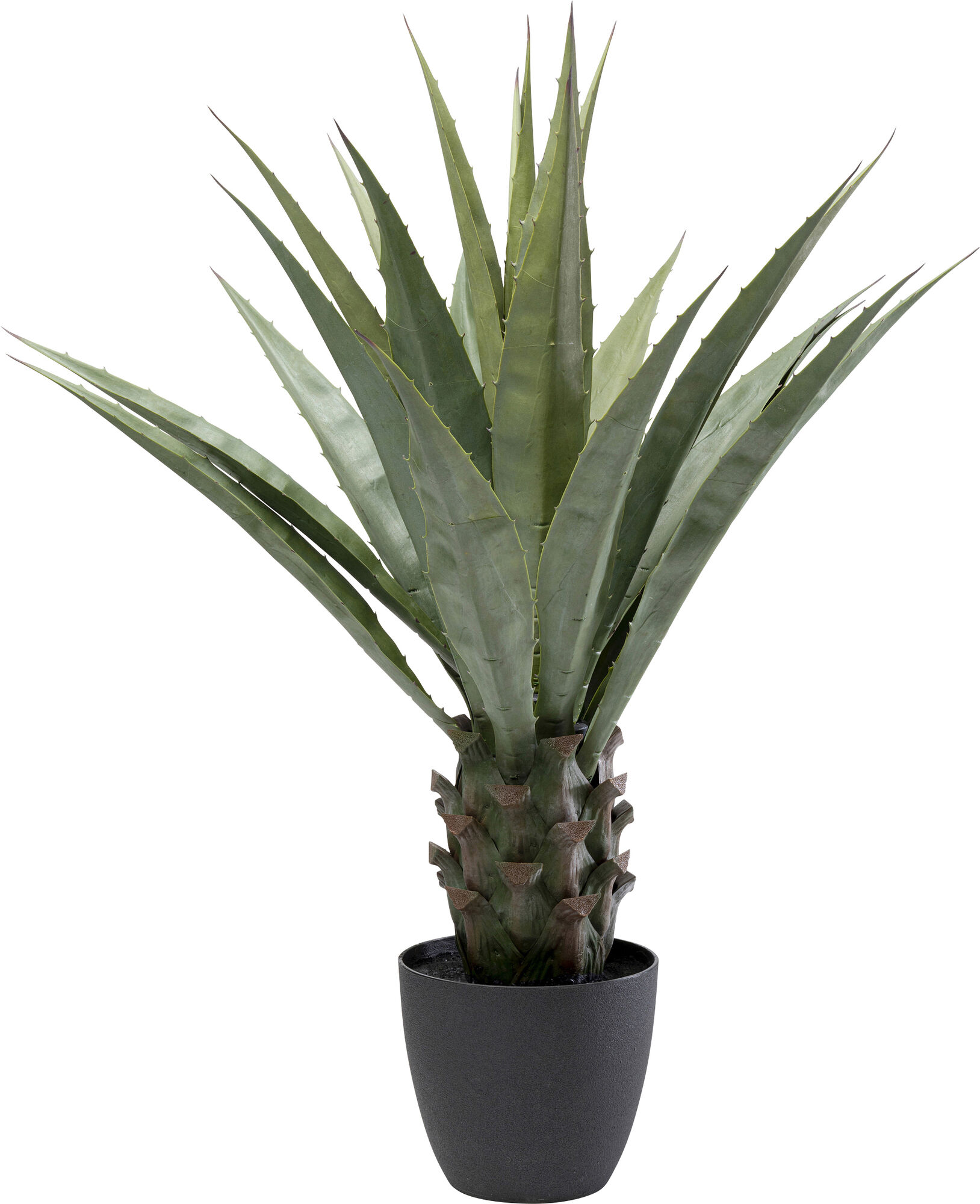 Deko Pflanze Agave 85cm