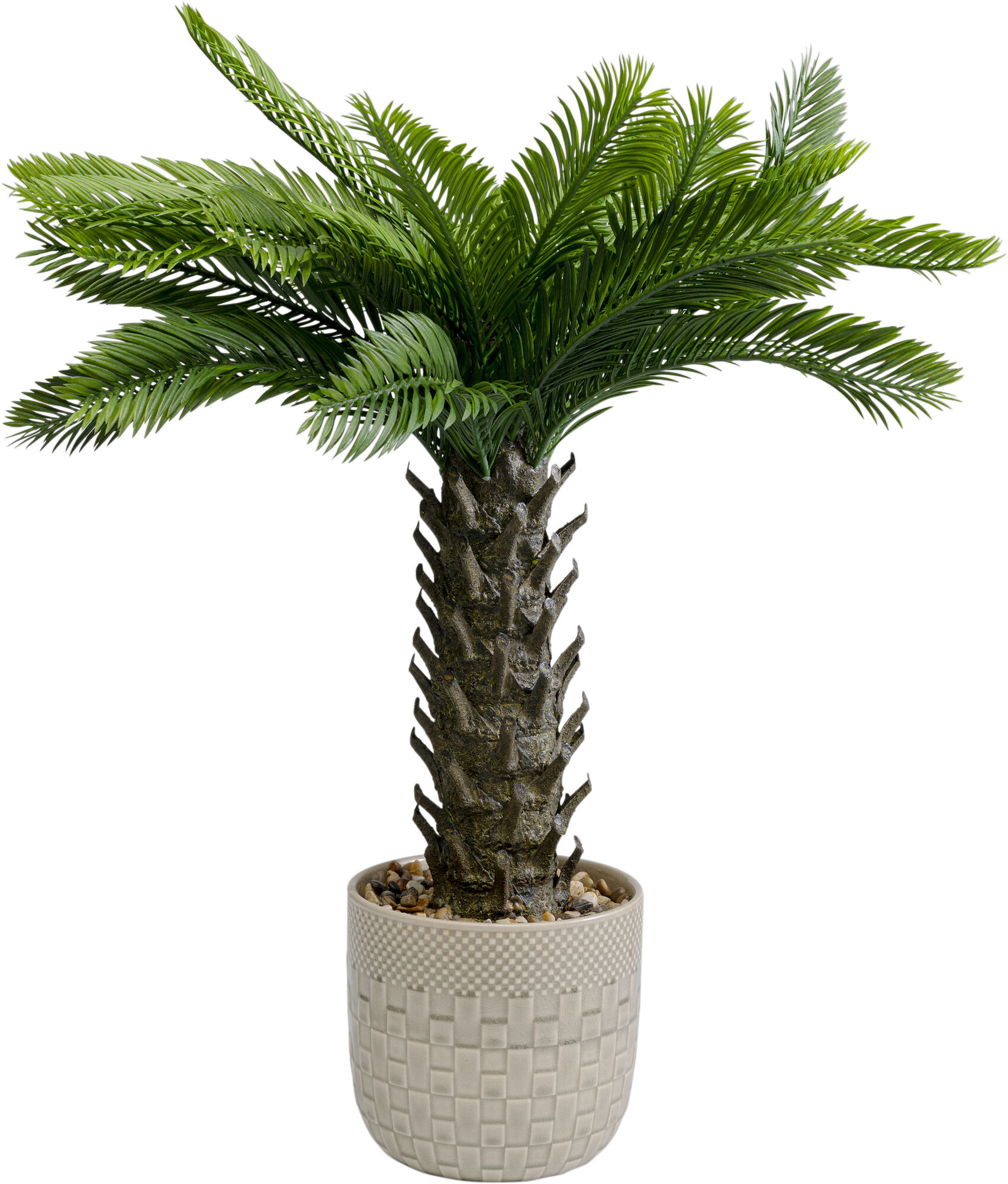 Deko Pflanze Cycas 70cm
