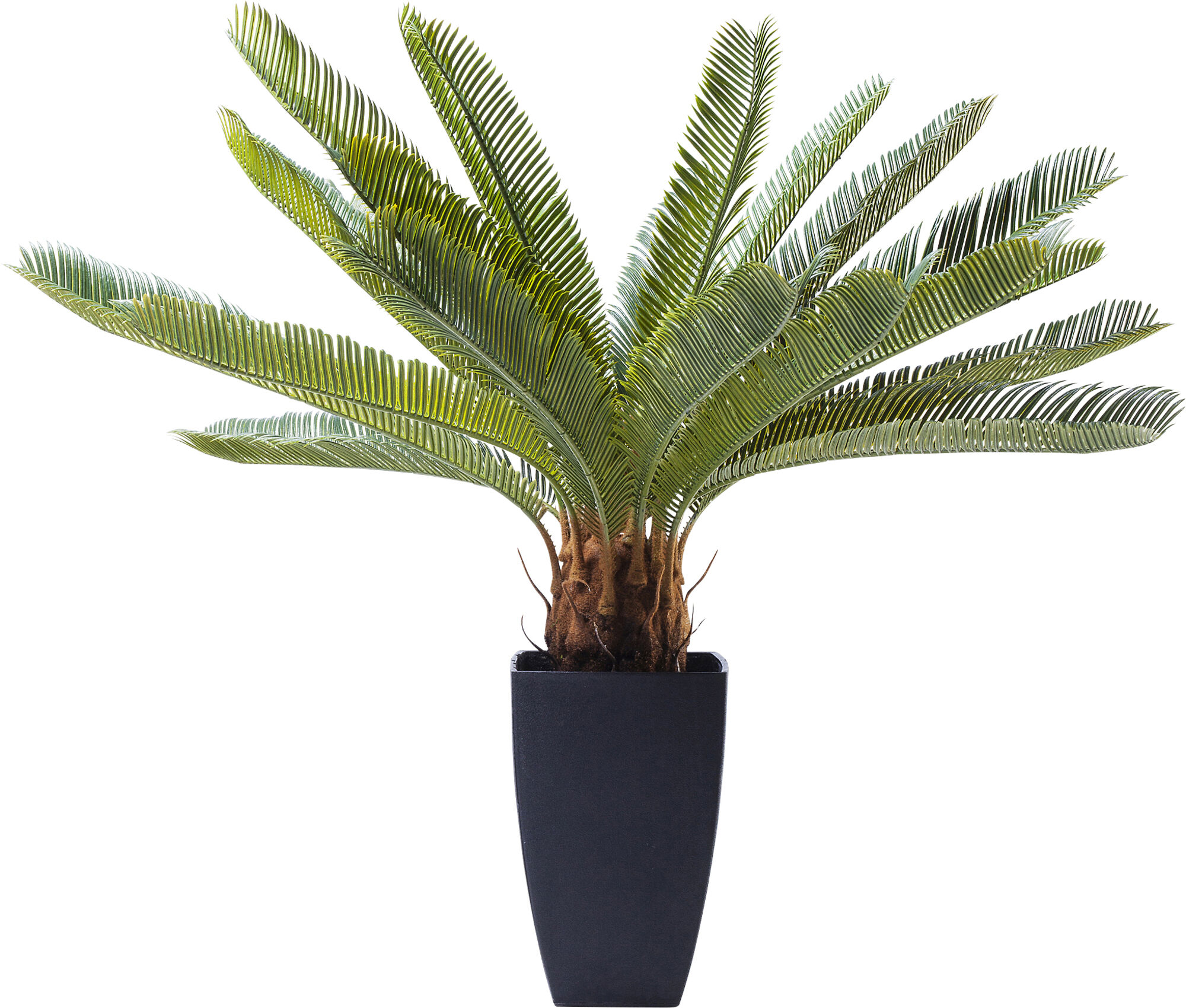 Deko Pflanze Cycas Tree 78cm
