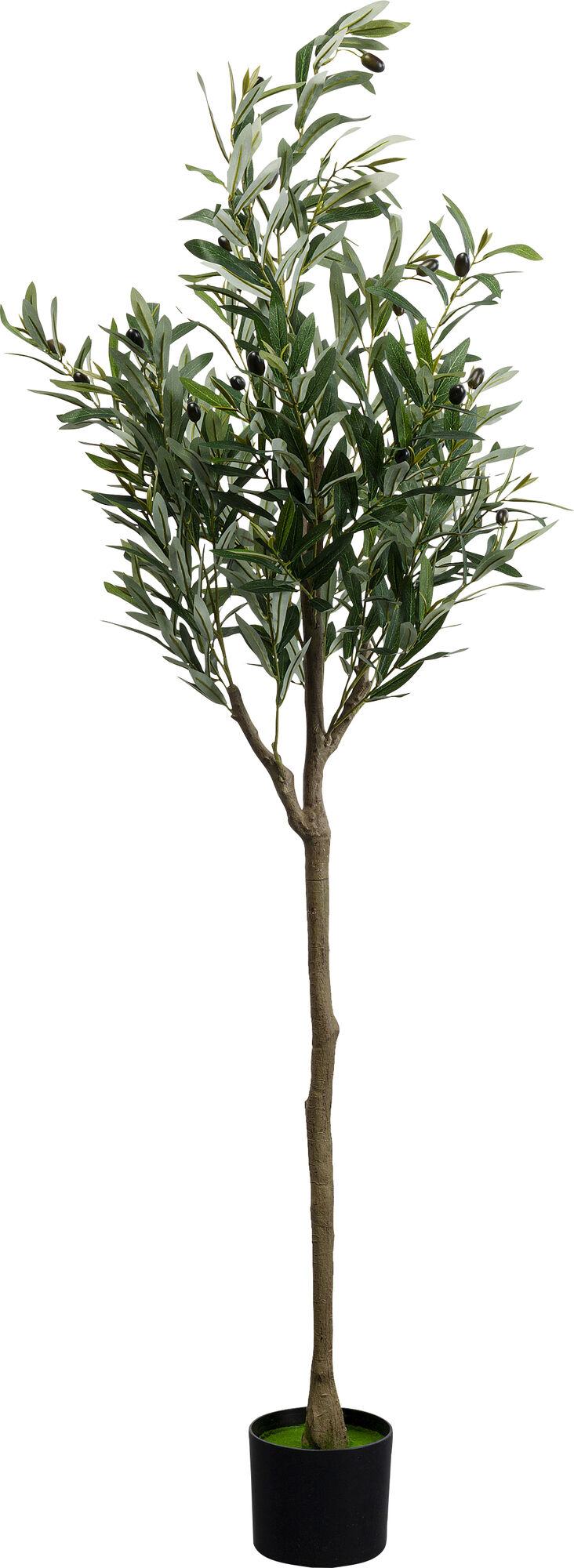 Deko Pflanze Olive Tree 150cm