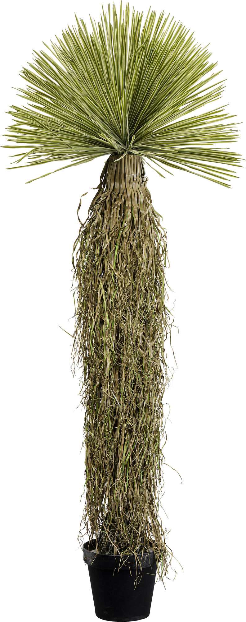 Deko Pflanze Yucca Rostrata 180cm