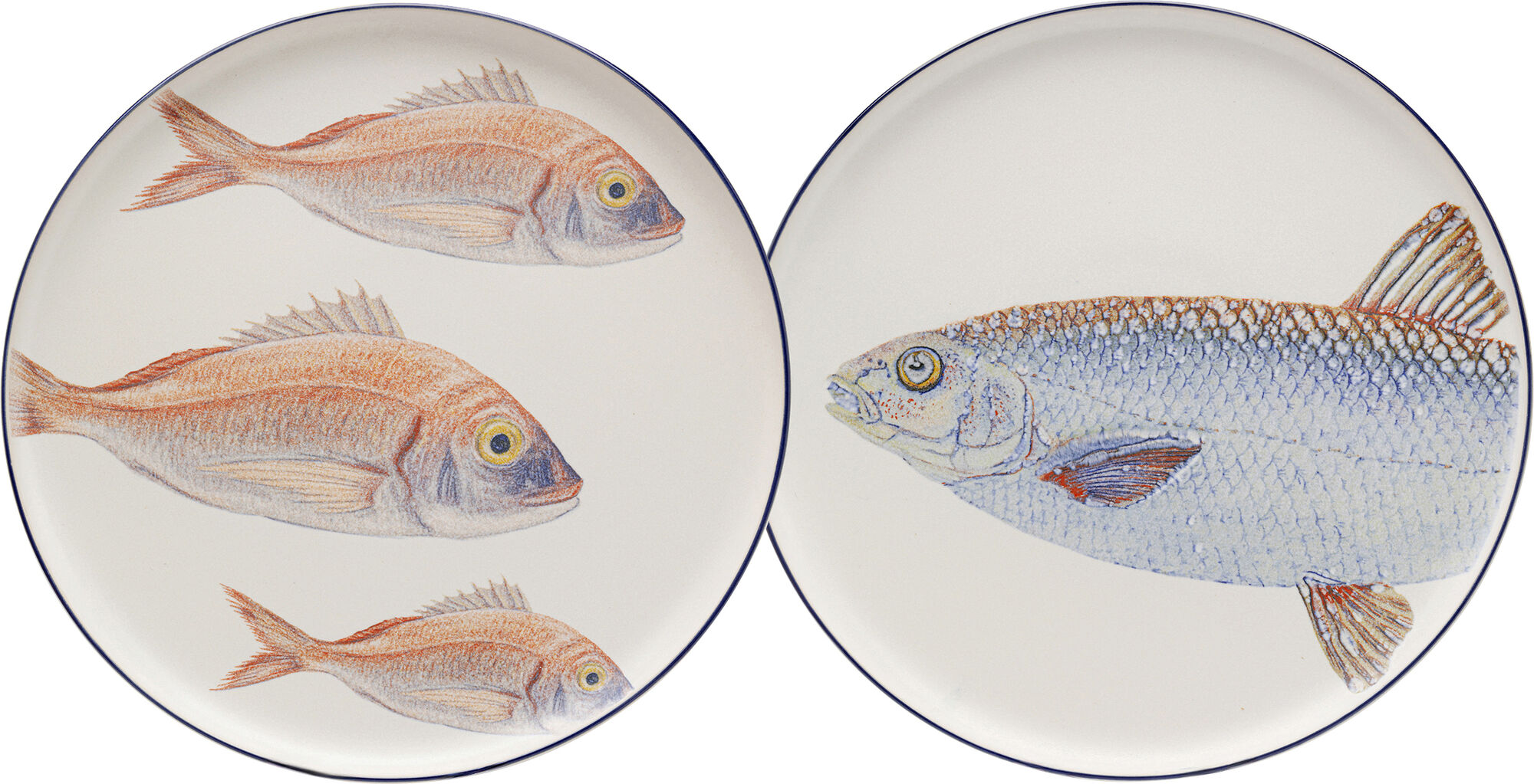 Teller Poisson Blau Ø27cm Sortiert