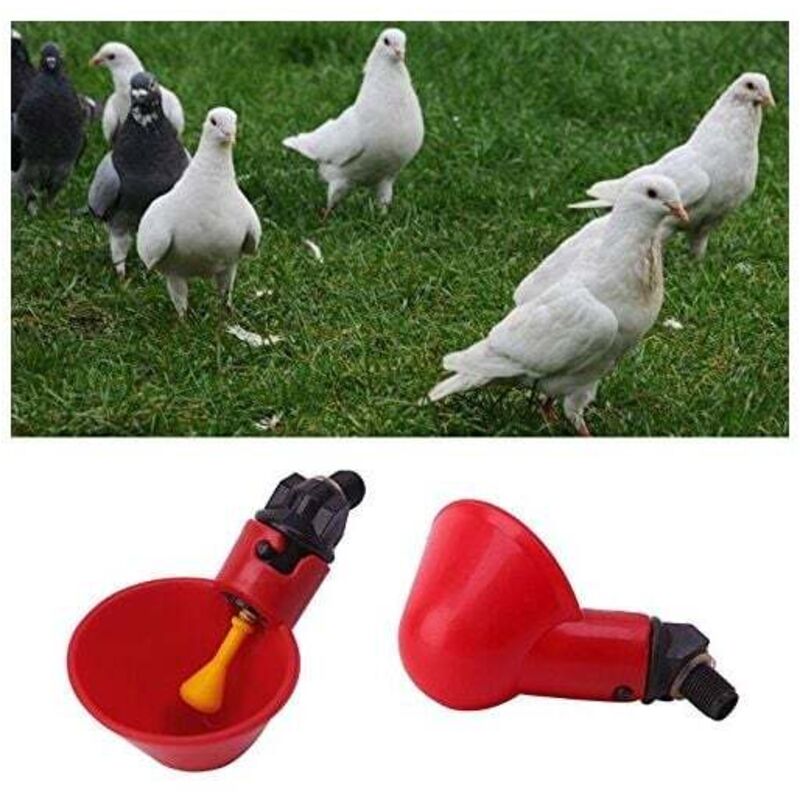 10 Stück automatische Geflügeltrinkbecher Geflügelwasserzufuhr Vogeltränke Kunststoff Automatischer Hühnerstall Hühnerstall Fütterungsbogen