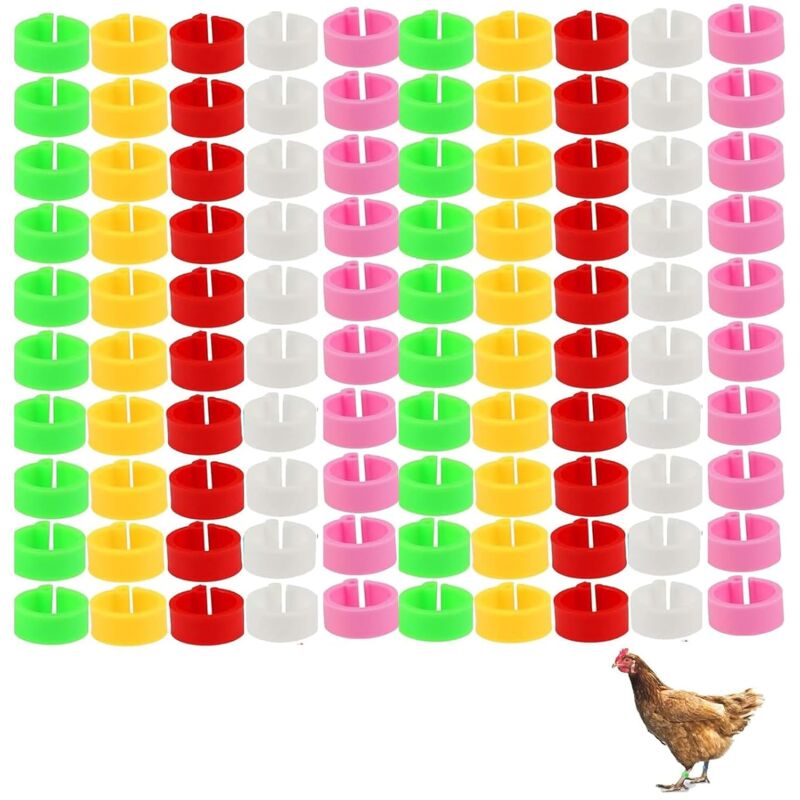 Bluedeer - 100 Pack Hühnchen Identifikation Beine Ringe,Chicken Tags für Legs Geflügel Bands Clip On Leg Rings für Hühner, Enten, Hühnchen, Goose(5