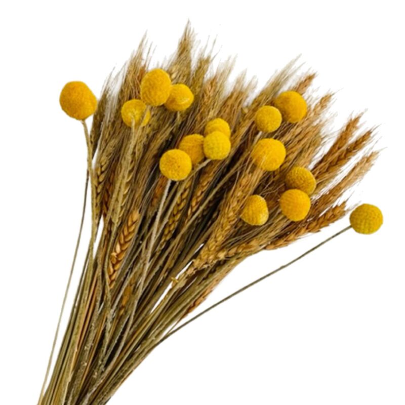 100 StüCk Getrocknete Weizenstiele für die Dekoration und 15 StäNgel Gelbe Balls-KnöPfe, Herbst-Herbst-Kunstblumen Zur