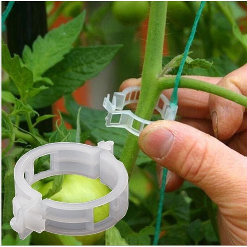 100PCS Anlage Unterstützung Garten Clips Tomaten Clips Unterstützt/Verbindet Pflanzen/Fix