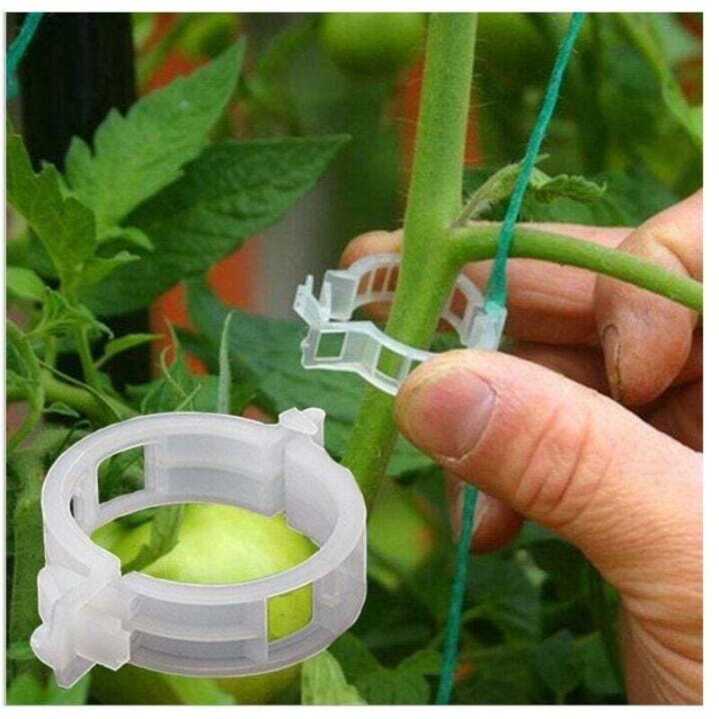100PCS Anlage Unterstützung Garten Clips Tomaten Clips Unterstützt/Verbindet Pflanzen/Fix