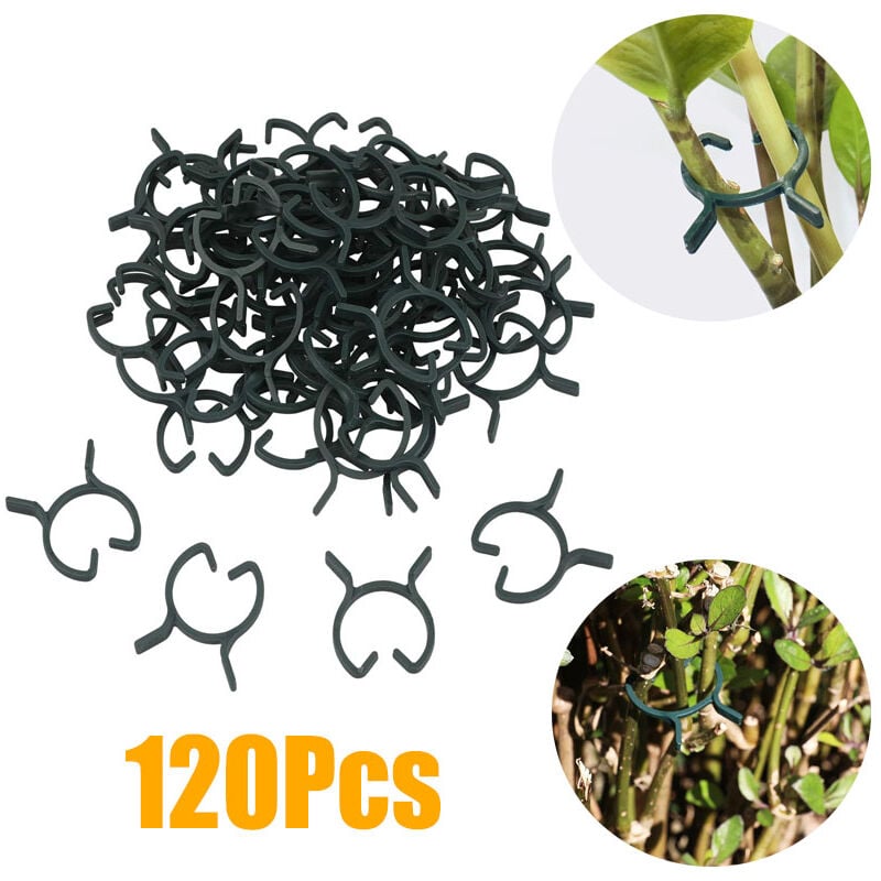 Bluedeer - 120 pcs Anlage Clip Garten Clips Klettern Pflanzen Unterstützung Kunststoff Frühling Peg Schellen Lst Clips Tomatenhaken Pflanzenclips Für