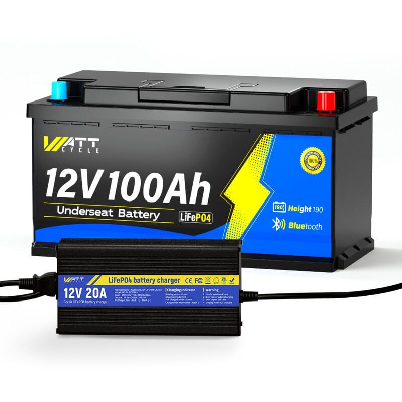 12V 100Ah LiFePO4 Lithium-Akku – Wiederaufladbar mit 100A BMS, bis zu 15.000 Ladezyklen – Perfekt für Wohnmobil, Solaranlage, Boot & Trollingmotor