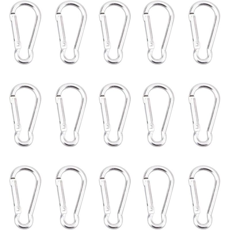 15 Stück kleine Karabiner, Aluminium-Karabiner, Schlüsselanhänger-Karabiner für Rucksack, Hundeleine, Camping, Wandern, Angeln, Reisen (Silber)