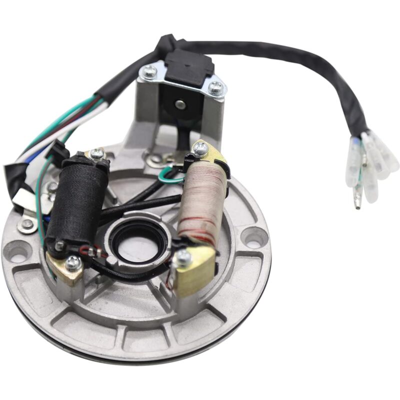 Aougo - 2-Spulen-Magneto-Stator Ersatz für 50 cc 70 cc 90 cc 110 cc 125 cc Kickstarter atv Dirt Bike und Go Kart