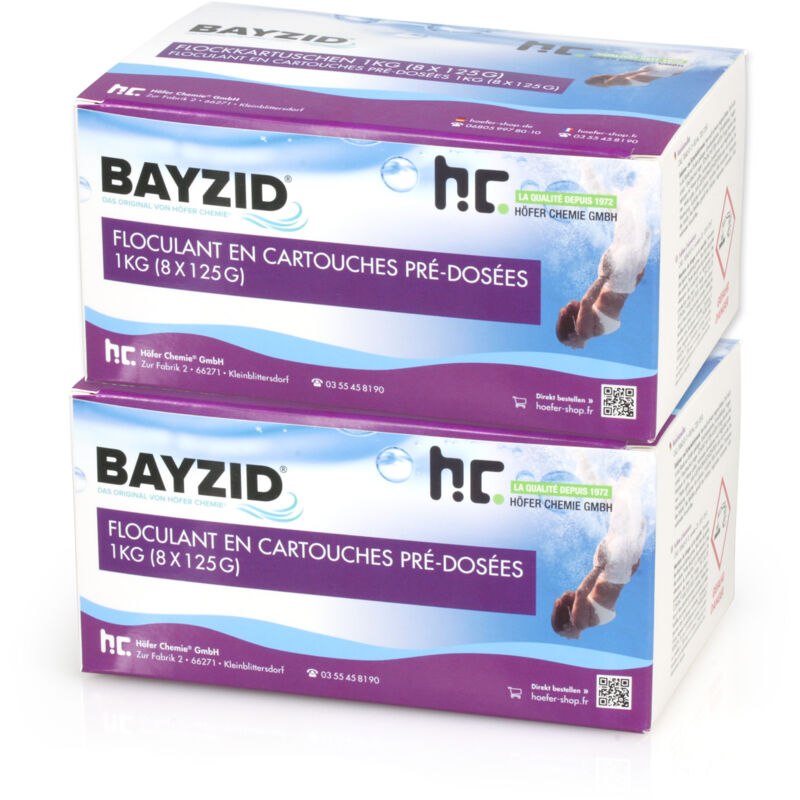 Höfer Chemie Gmbh - 2x 1 kg bayzid® Flockkartusche für Pools