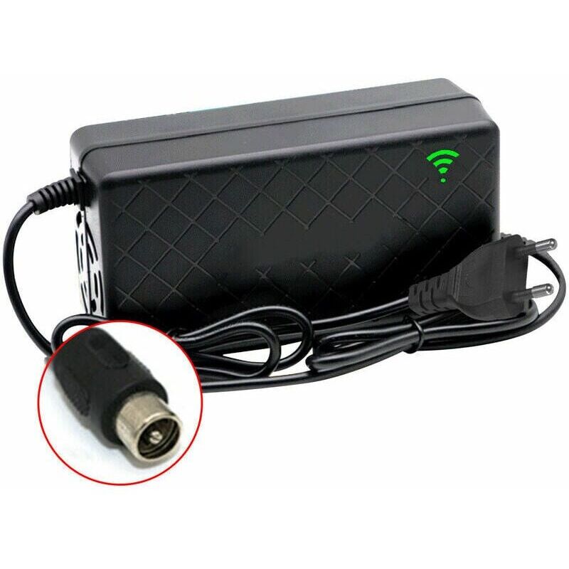 24V 2A Elektrofahrrad Intelligentes Lithium-Batterieladegerät Ausgang 29,4V 2A Ladegerät DC-Anschluss Schnellladegerät mit Lüfter, Cinch-Stecker Mumu