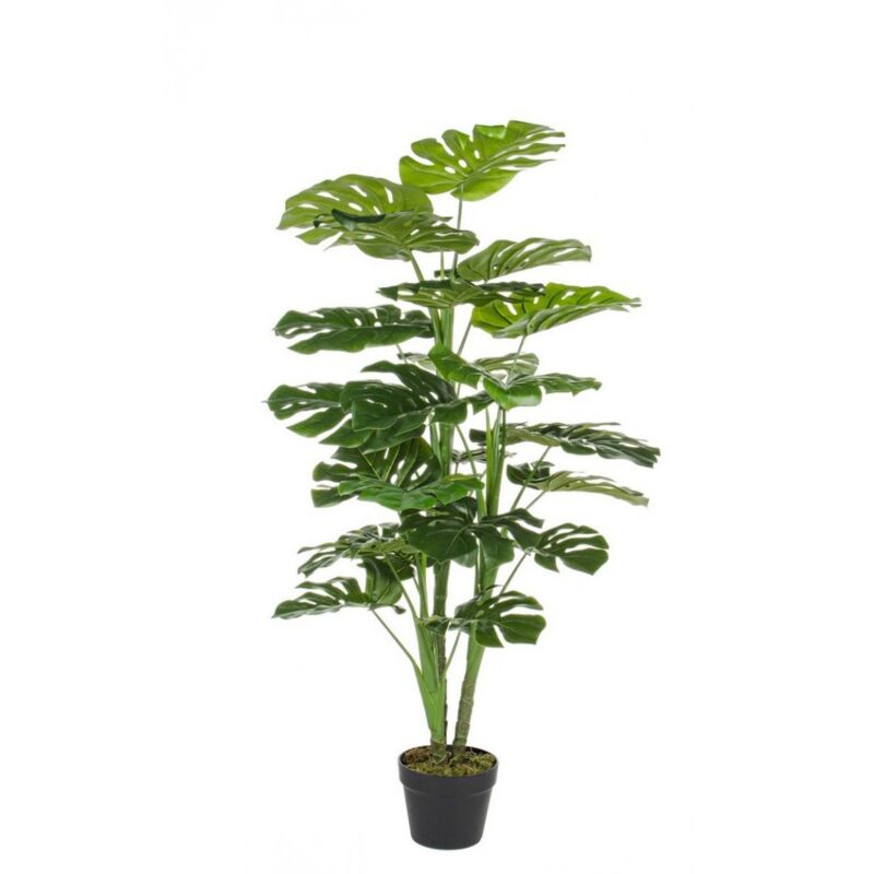 Iperbriko - 2x Philodendron Pflanze 60x60x120 cm