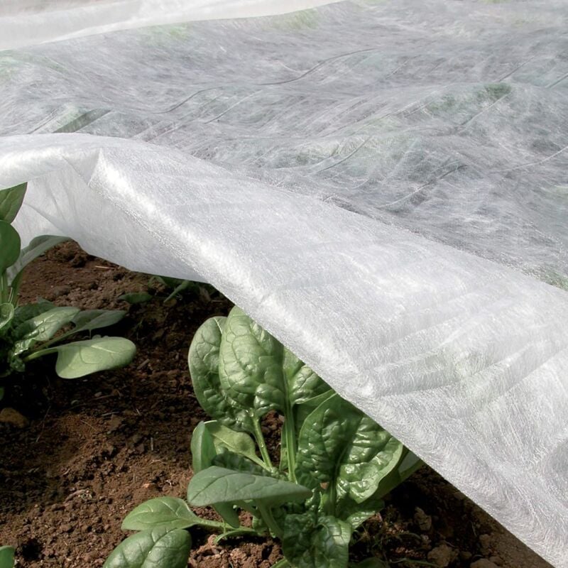 3 m x 6 m großer weißer Überwinterungsschleier für Pflanzen und Nutzpflanzen, hergestellt aus 30 g/m² Vliesstoff, schützt Pflanzen, Blumen und Gemüse