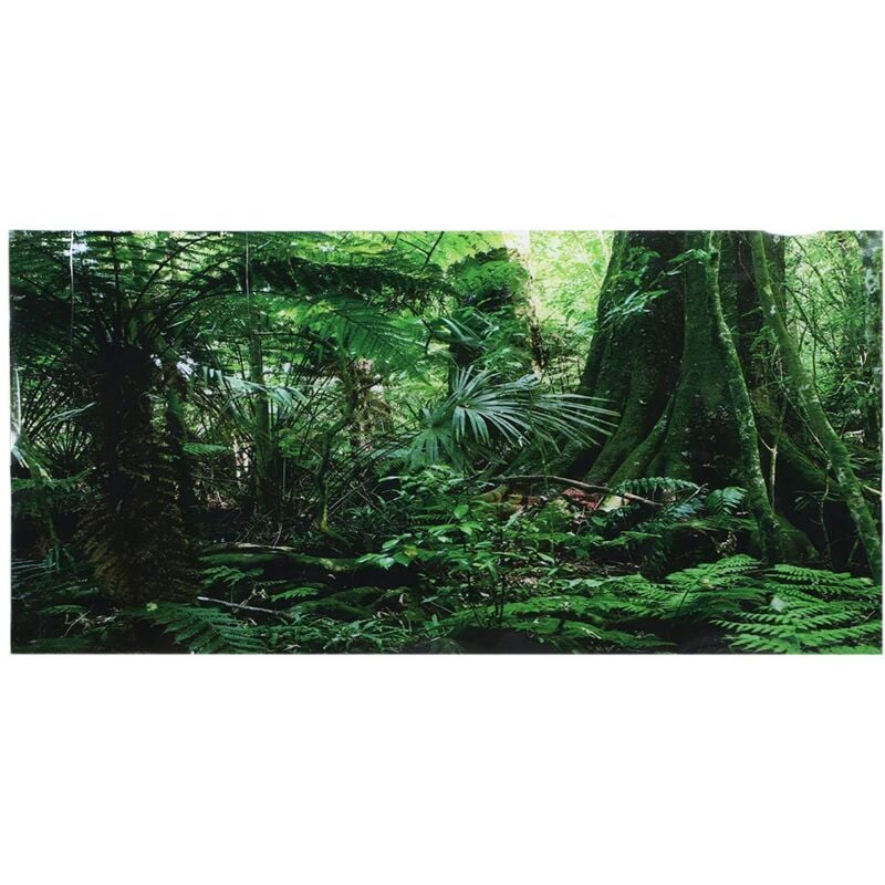 Ej.life - 3D Effekt Regenwald Poster Selbstklebende Reptilien Terrarium Aquarium Hintergrund Aquarium Wandaufkleber Aquarium Hintergrund Unterwasser