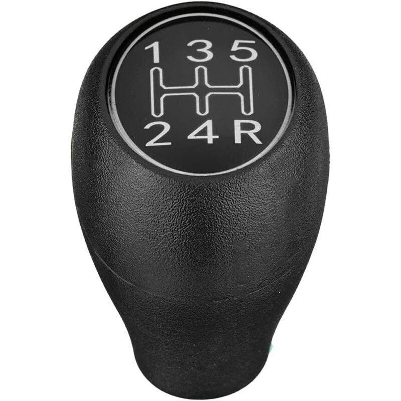 Rapanda - 5-Gang-Schaltgetriebe Auto Schaltknauf Schalthebel Griff für 504 505 309 205 Silber abs