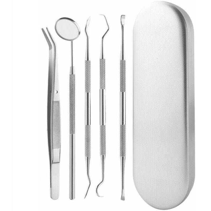 5-teiliges Zahnhygiene-Set: Spiegel, Mundschutz, Sichelschaber, Zahnsteinschaber und Doppelmeißel – Für den professionellen Gebrauch – Silber