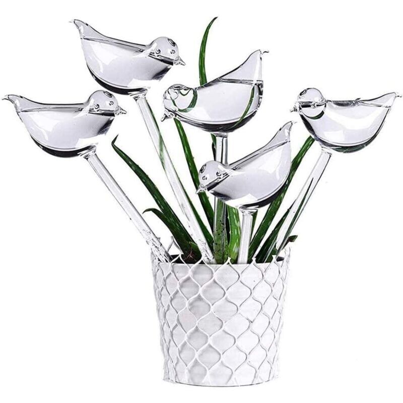5LOT Automatische Glas Bewässerung Globen Anlage Waterer Transparent Vogel Geformt für Indoor Pflanzen Garten Stakes Blumen