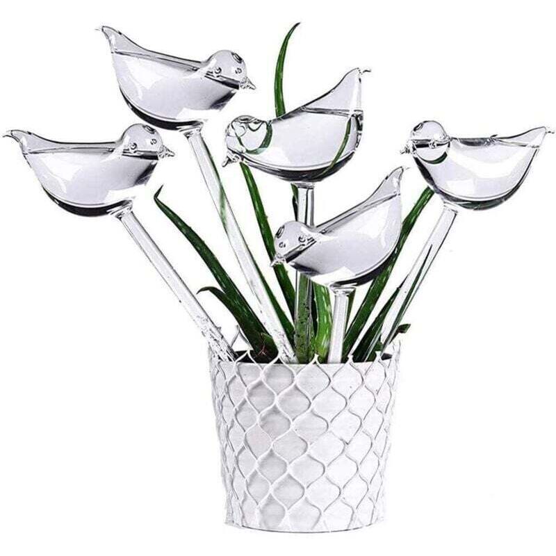 Aiperq - 5LOT Automatische Glas Bewässerung Globen Anlage Waterer Transparent Vogel Geformt für Indoor Pflanzen Garten Stakes Blumen